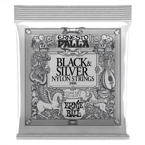 Ernie Ball 2406